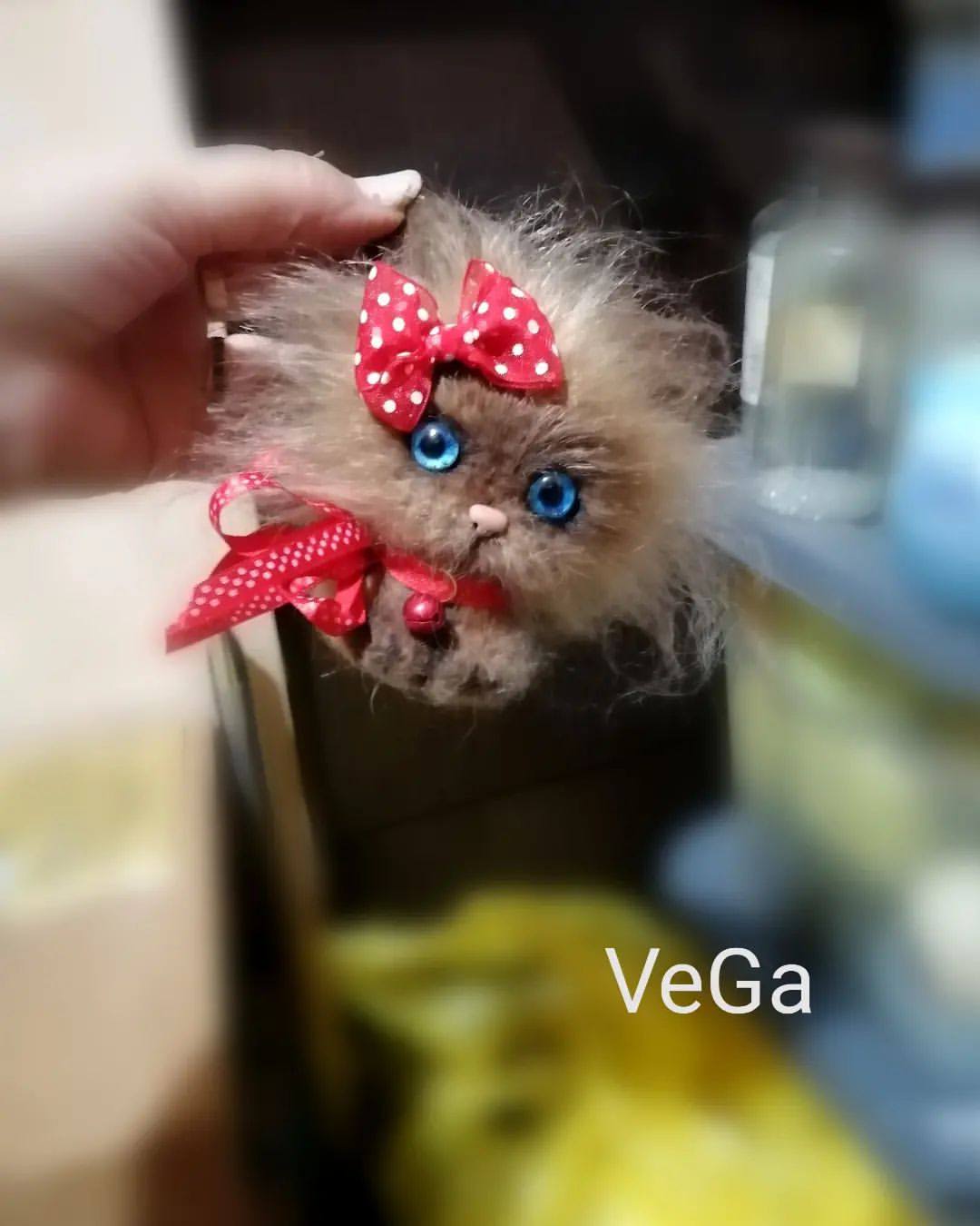 gala_vedernikova in LOOKY