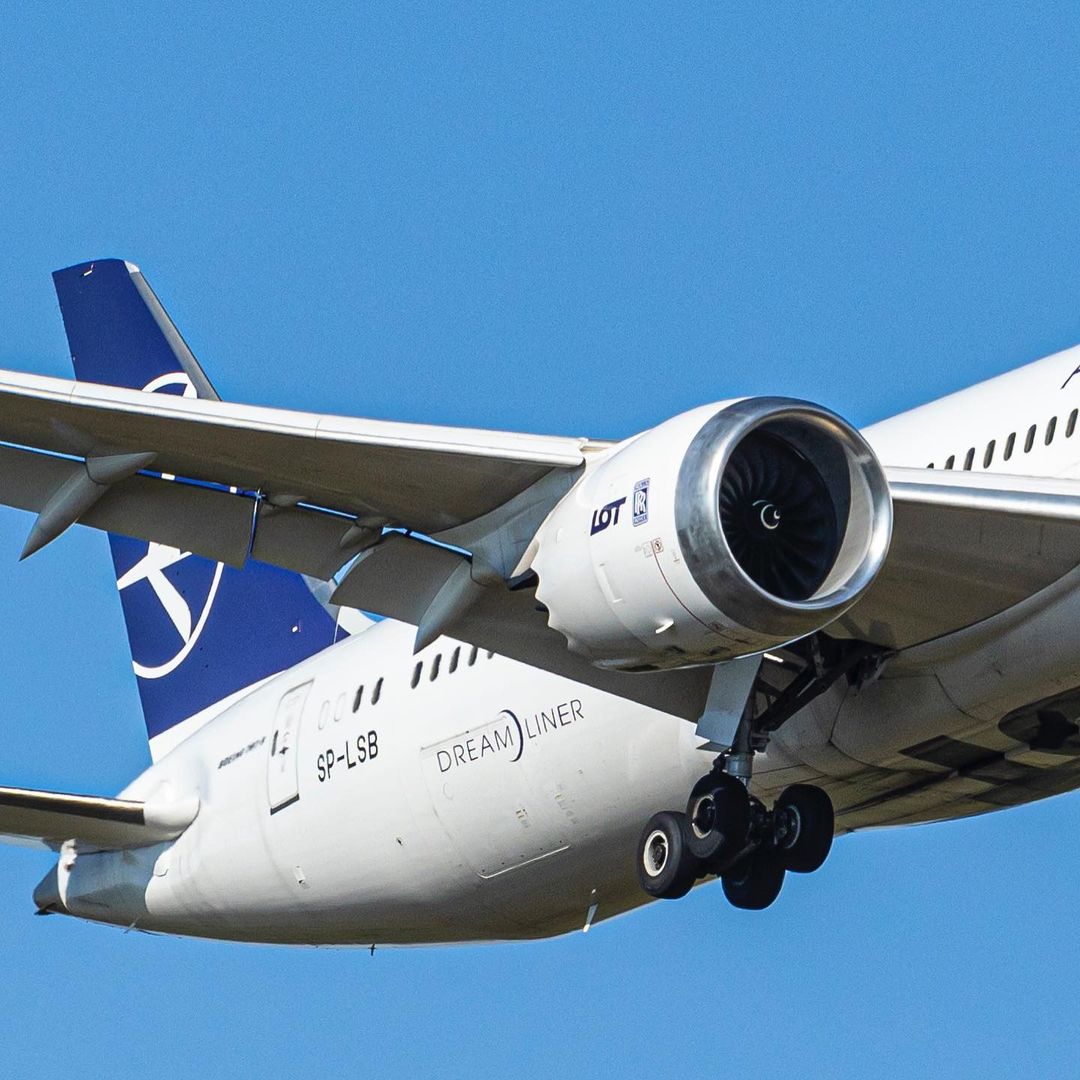 gribosekavia в LOOKY — фото 2