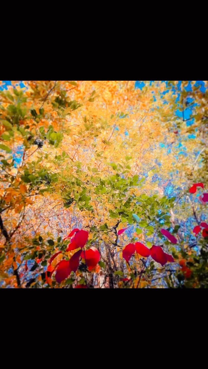 anna_ivanovape в LOOKY. . autumn 🍂🍂
