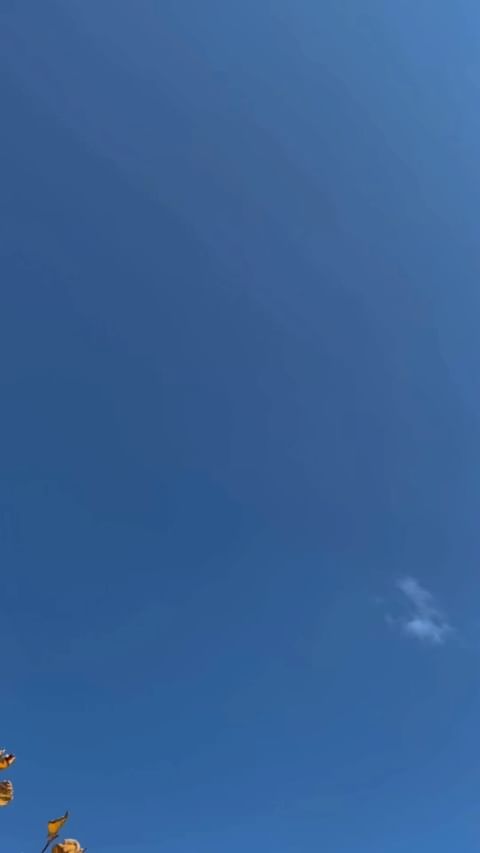 tashademina в LOOKY. . Кажется к нам пришло...