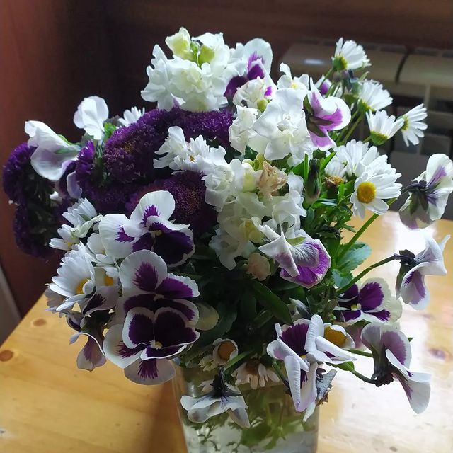 mashenka_2903 в LOOKY. . Вот и всё 🌼🌺🌸 мои...