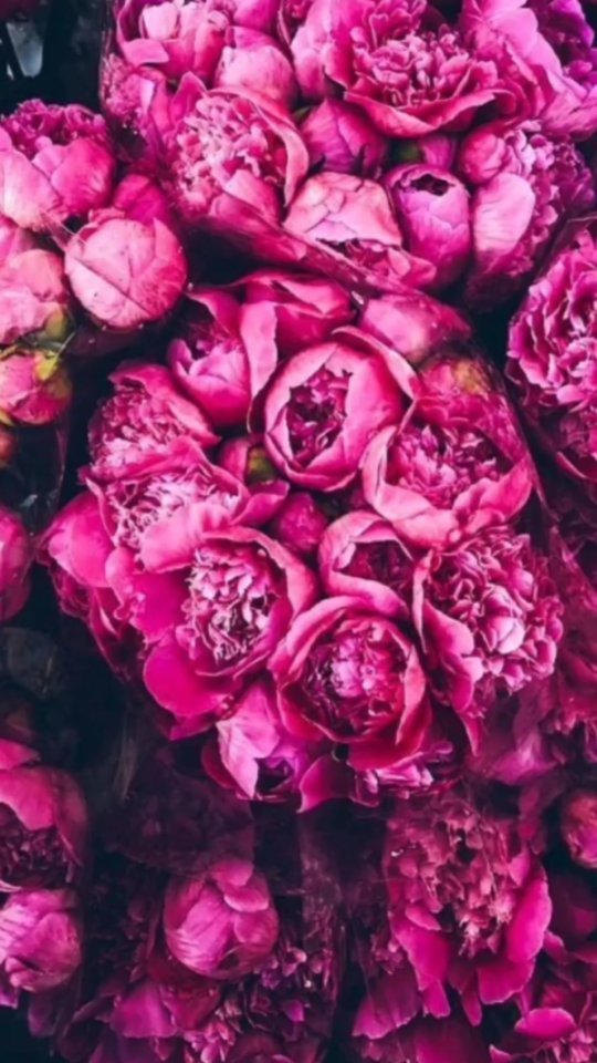 hair_missa в LOOKY. . null