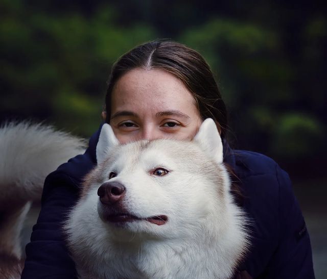 husky_easy в LOOKY. #husky,#siberianhusky,#huskyphotography,#huskygram,#huskylove,#huskylovers,#huskylovingclub,#huskylife,#allthingshusky,#instahusky,#huskyofinstagram,#huskypics,#huskiesreq,#huskiesofinstagram,#huskyrussia,#dogsofinstagram,#igcutest_animals,#ilovehusky,#justhuskies,#bestwoof,#dog_features,#dogs_of_world,#dogphotography,#excellent_dogs,#хаски,#хаскифото,#хаскивмоскве. #husky #siberianhusk...
