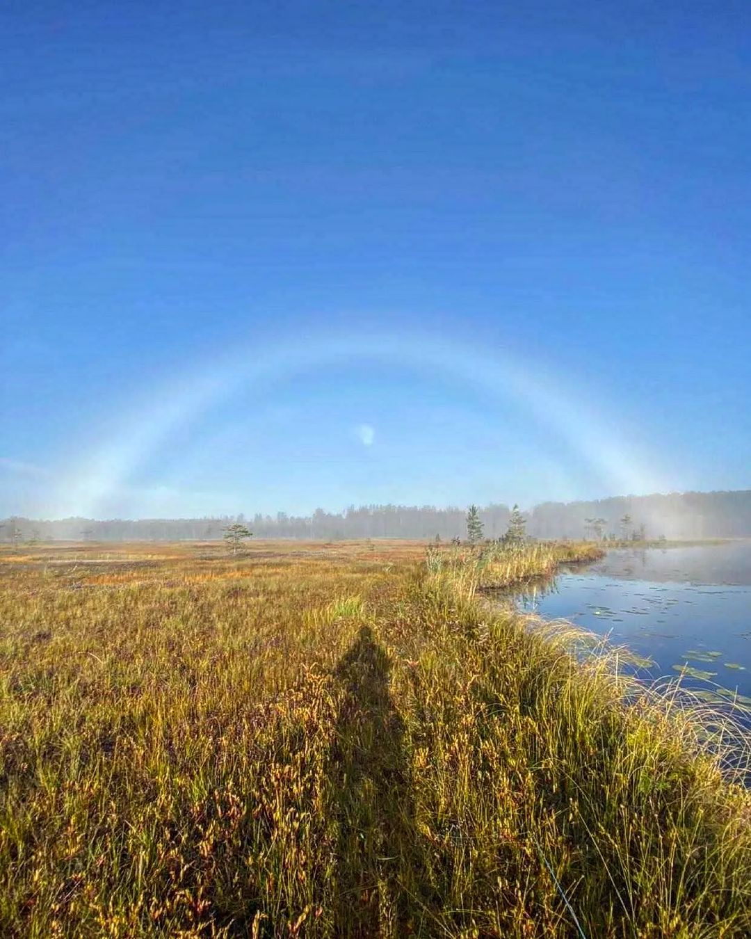wonders_of_russia в LOOKY — фото 5