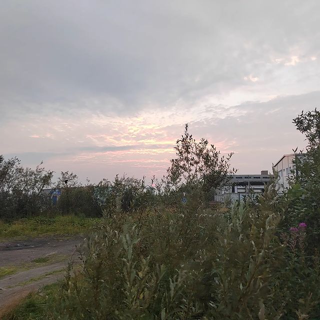 ksu_888love_me в LOOKY. . Чем старше становишь...