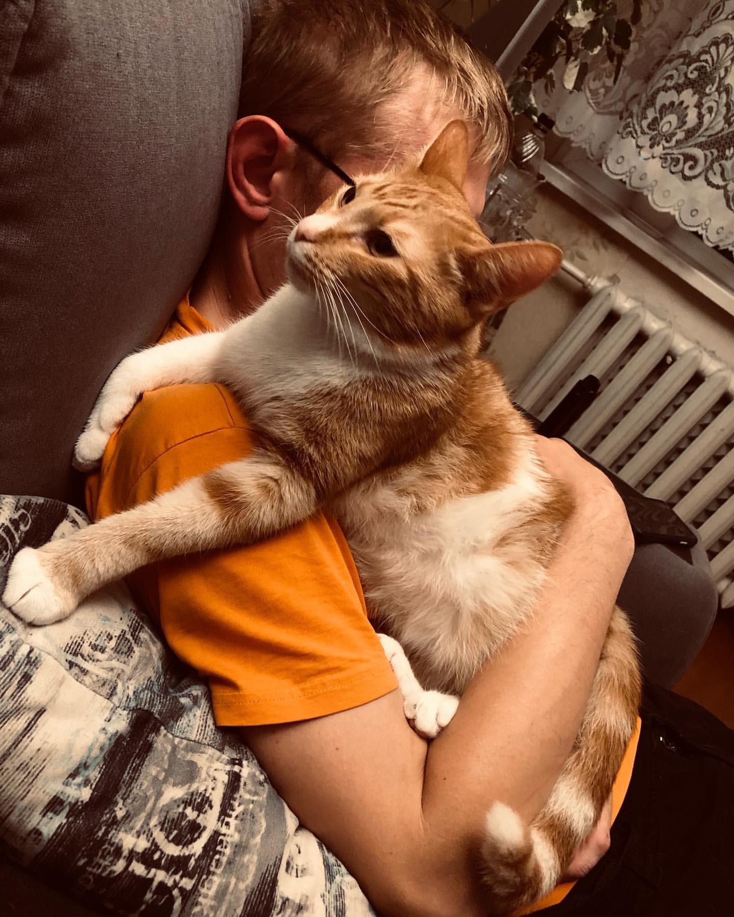 aljonaorlova в LOOKY. . Не хочу кота говорил...