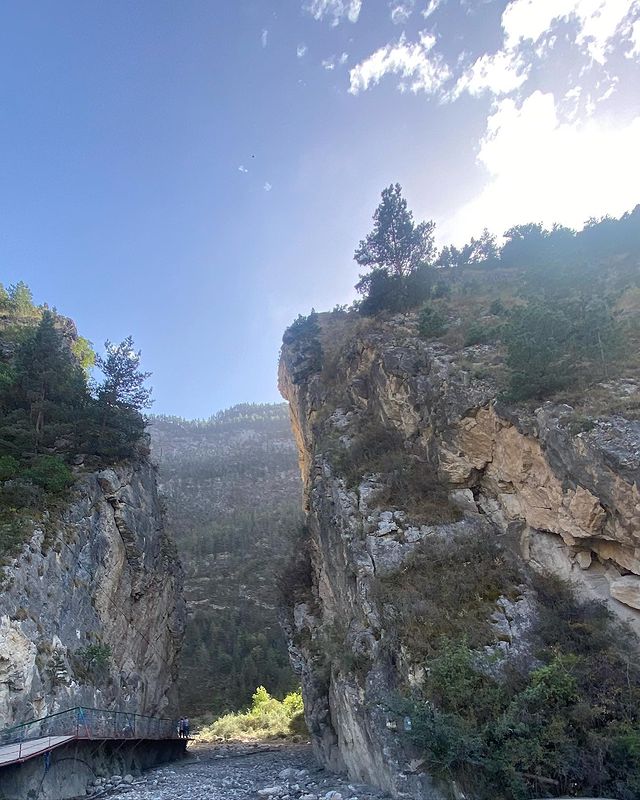 _vr_0 в LOOKY. . null