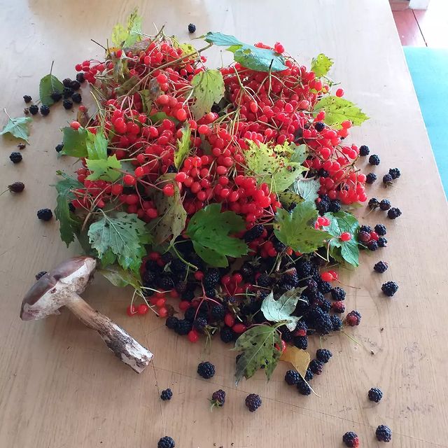 bukhvalovaevgeniia в LOOKY. . Сходили за грибочкам...