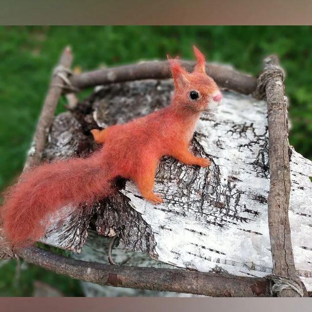 elenatoyslvova в LOOKY. #белка,#картина,#живаякартина. Скоро будет белочка ...