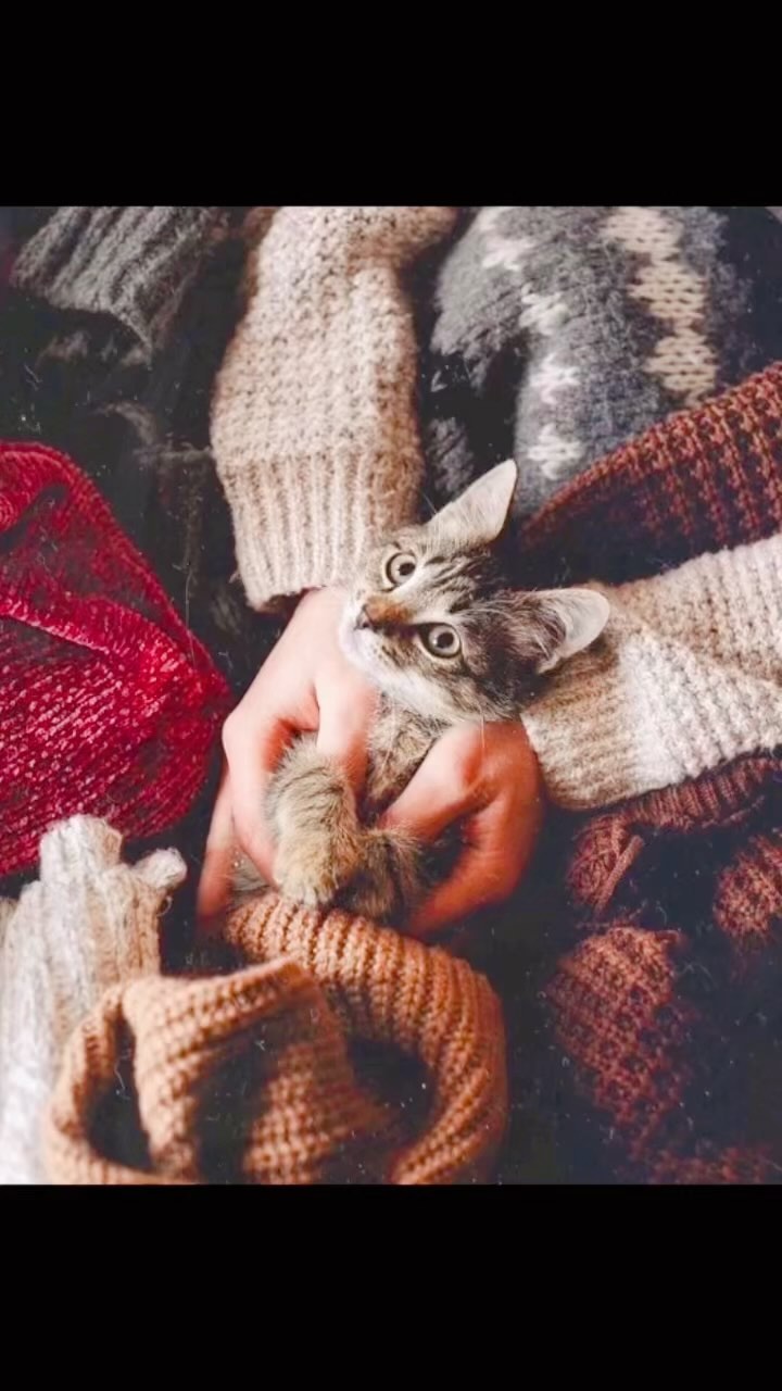 die_blume_909___ в LOOKY. . Пусть у всех все буд...