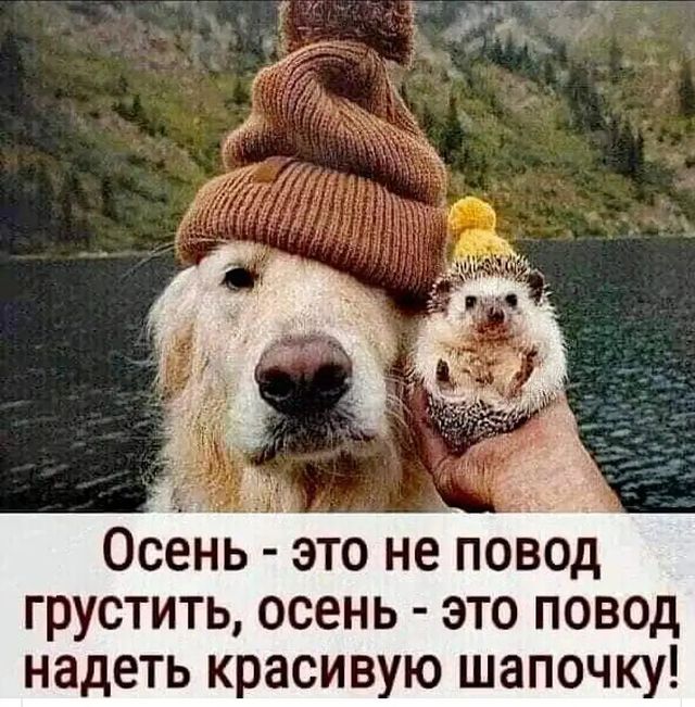serega22051990 в LOOKY. . null