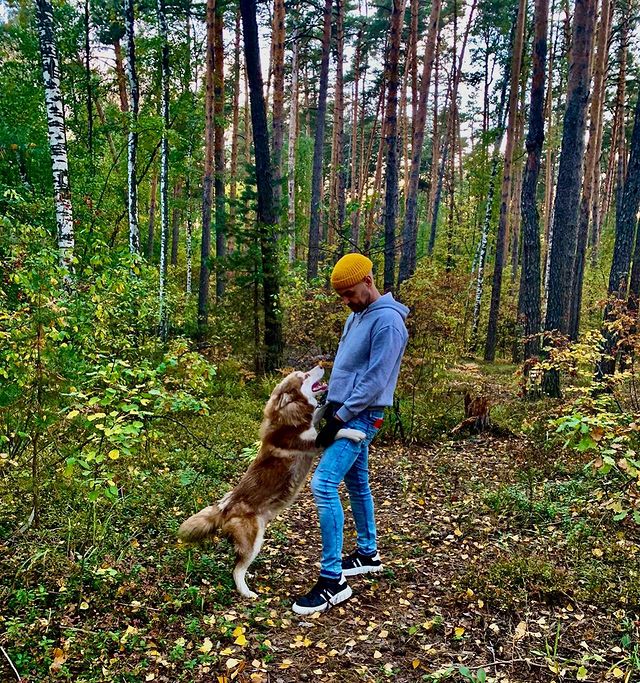 panfilovmikael в LOOKY. . null