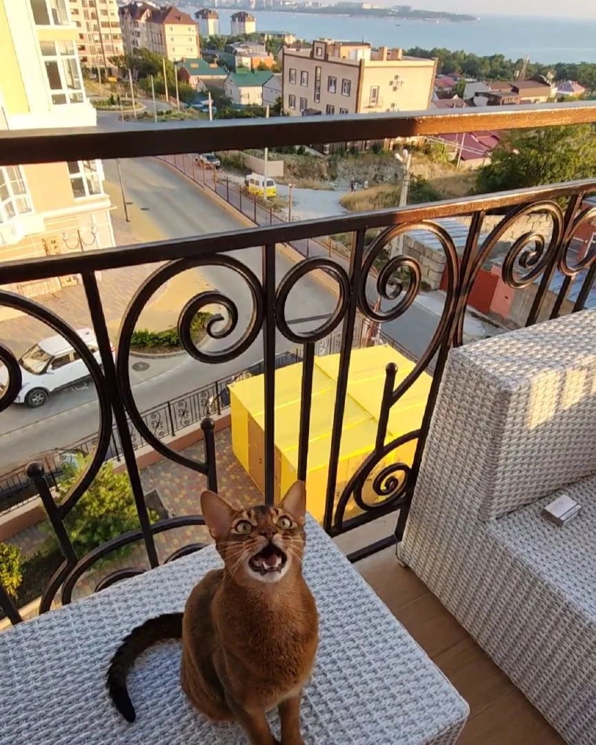 murmansvet в LOOKY. . null