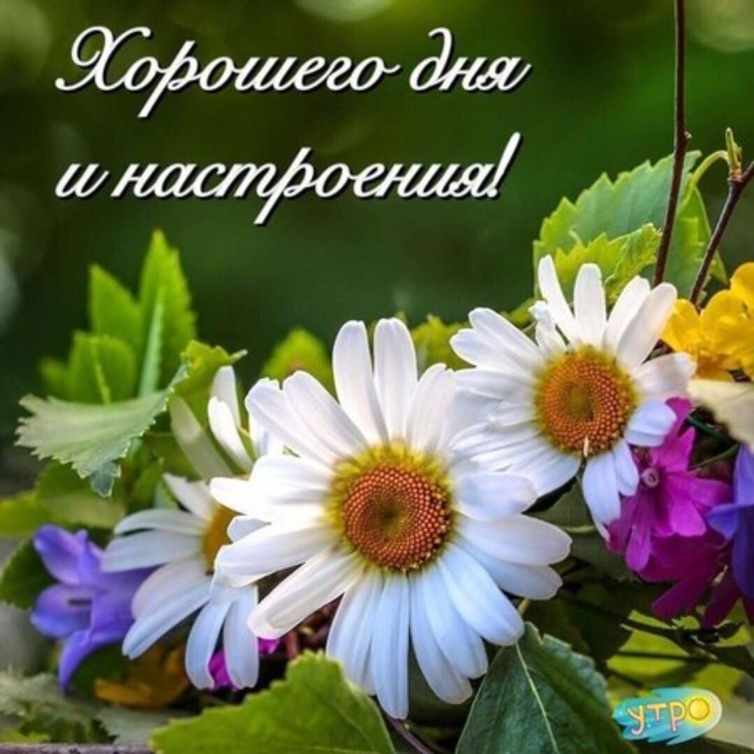 grnd_33_ в LOOKY — Добрый вечер!