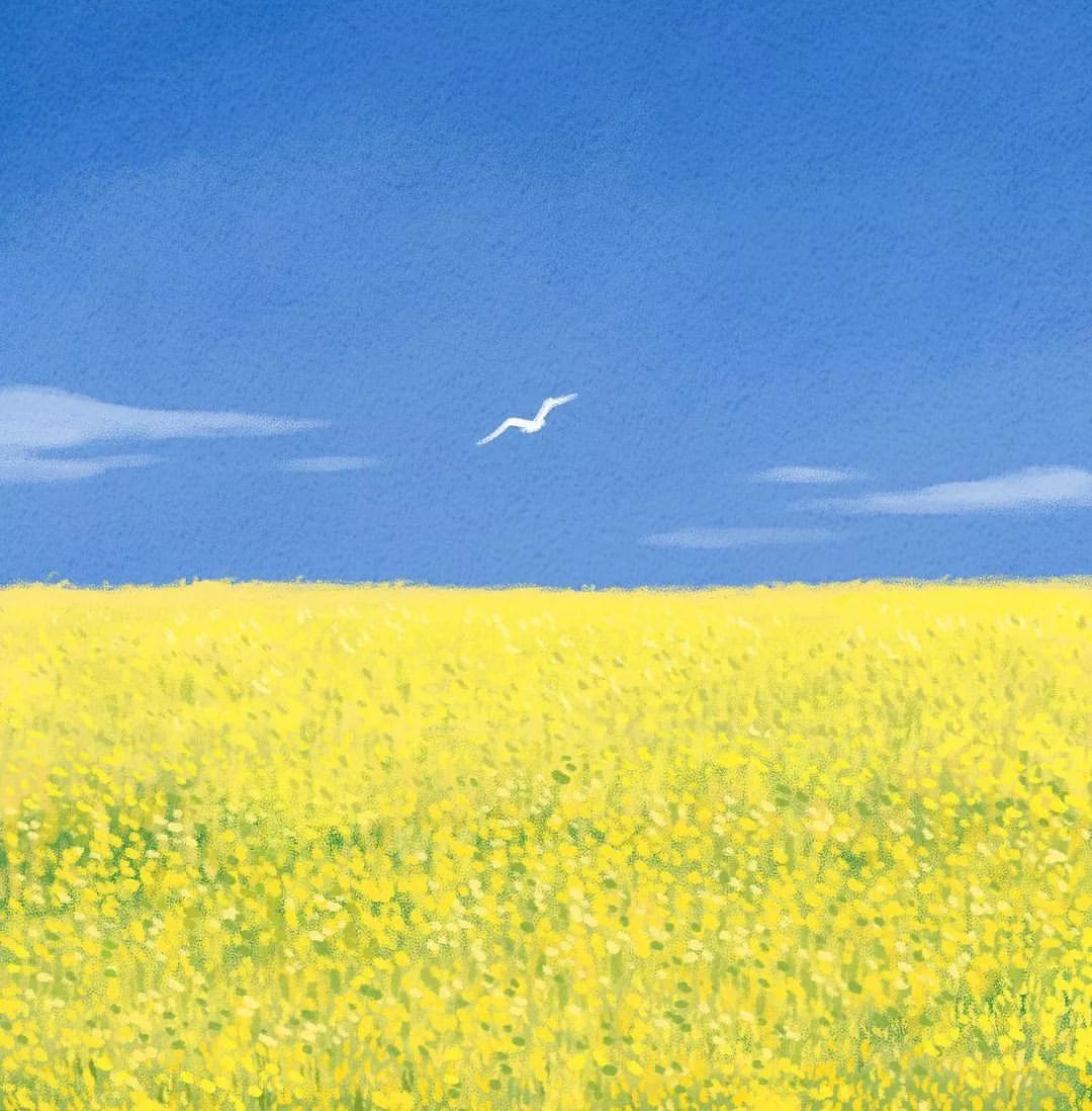 🇺🇦🕊️