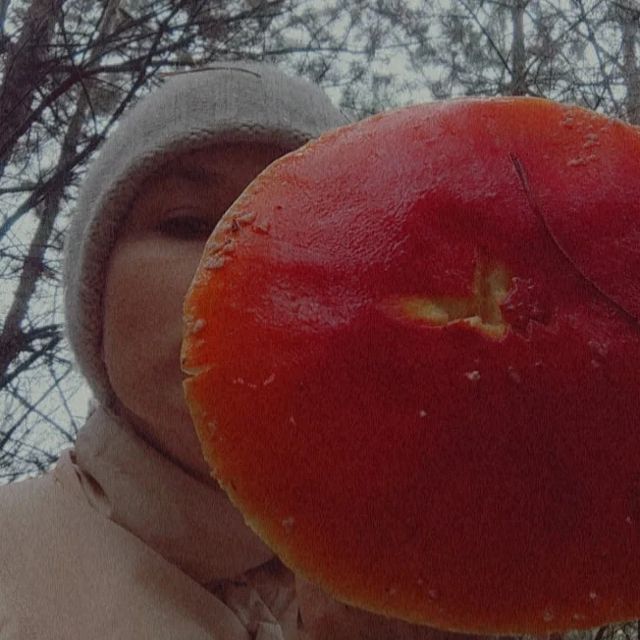 alexandra.korolleva в LOOKY. . 🍂🍄