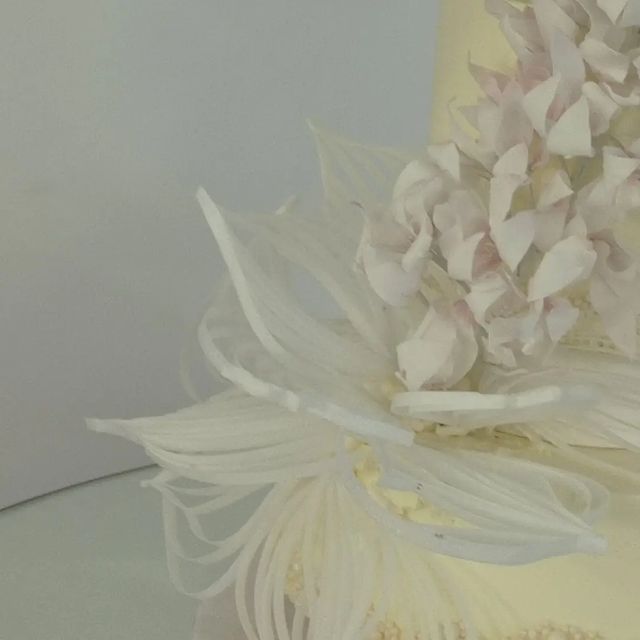lidia_cakes_us_sib в LOOKY. #weddingmagic_2022,#weddingmagic_2022. 💥💥💥💥💥
Сегодня, ...