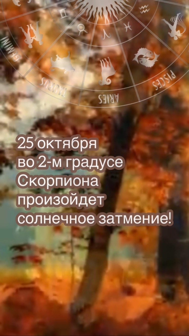 j_veselovskaya в LOOKY. . null