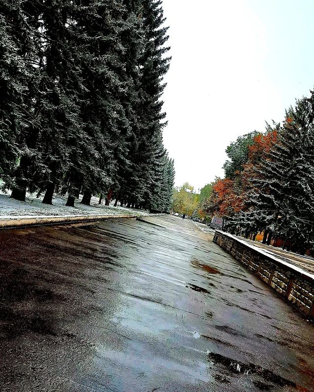 _dark_grim_ в LOOKY. . null