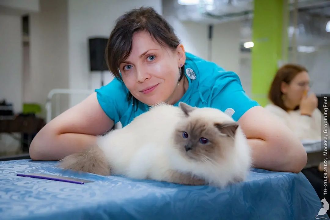 mycatgrooming in LOOKY. #кошачийгрумер,#грумингкошек,#грумингкошекмосква,#грумеркошекмосква,#выставочныйгрумингкошек,#шоугрумингкошек,#экспрессгрумингкошек,#конкурсгрумингакошек,#священнаябирма,#sacredbirman,#catgroomer,#catgrooming,#catbeauty,#showgrooming,#catshowgrooming,#groomerscompetition,#catgroomerscompetition,#catgroomingcompetition. Взяв за базу опыт ян...