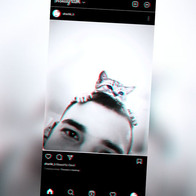 sharkk_k в LOOKY. . null