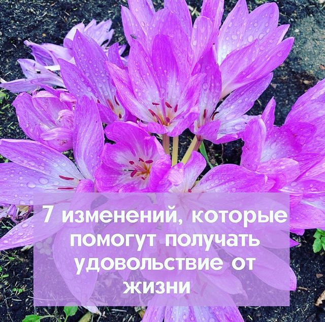 numerolog_11_ в LOOKY. . 7 небольших изменени...