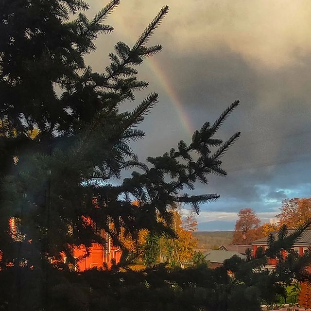 myfairytalesss в LOOKY. #октябрь🍁🍂. #октябрь🍁🍂 🌦️#дет...