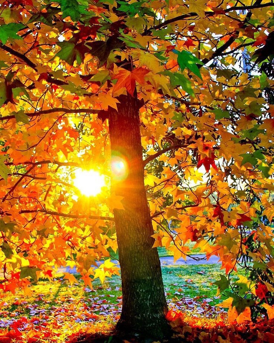 julia_kazb в LOOKY — Вот такая золотая осень!
🍂🍁🍂🤩🍁🍂🍁
В такие моменты врем