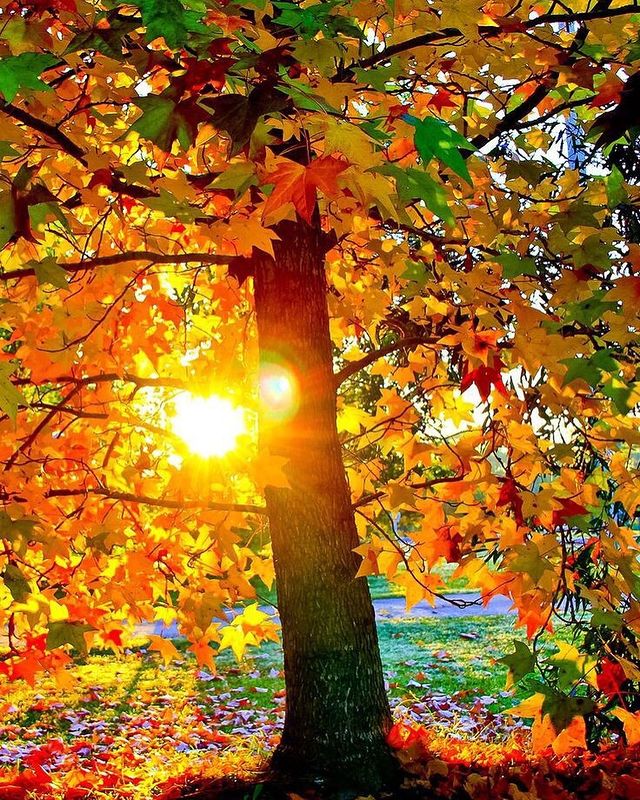 ecolife_for_me в LOOKY. . Швабры разные нужны,...