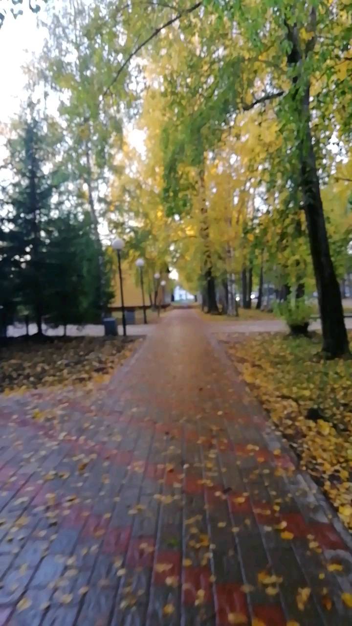 ulya_pict в LOOKY. . null