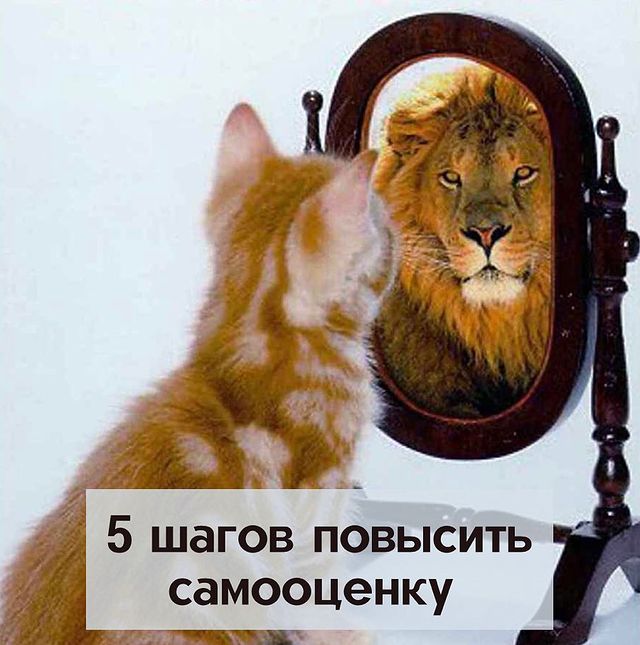 numerolog_11_ в LOOKY. . 5 шагов к повышению ...