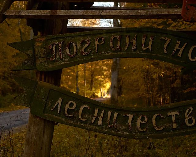 kilya7007 в LOOKY. . null