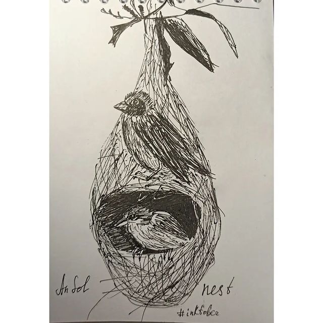 nastiasolkina в LOOKY. #inktoberrussia2022,#inktober2022day9,#inktober,#nest. День 9, nest - гнезд...