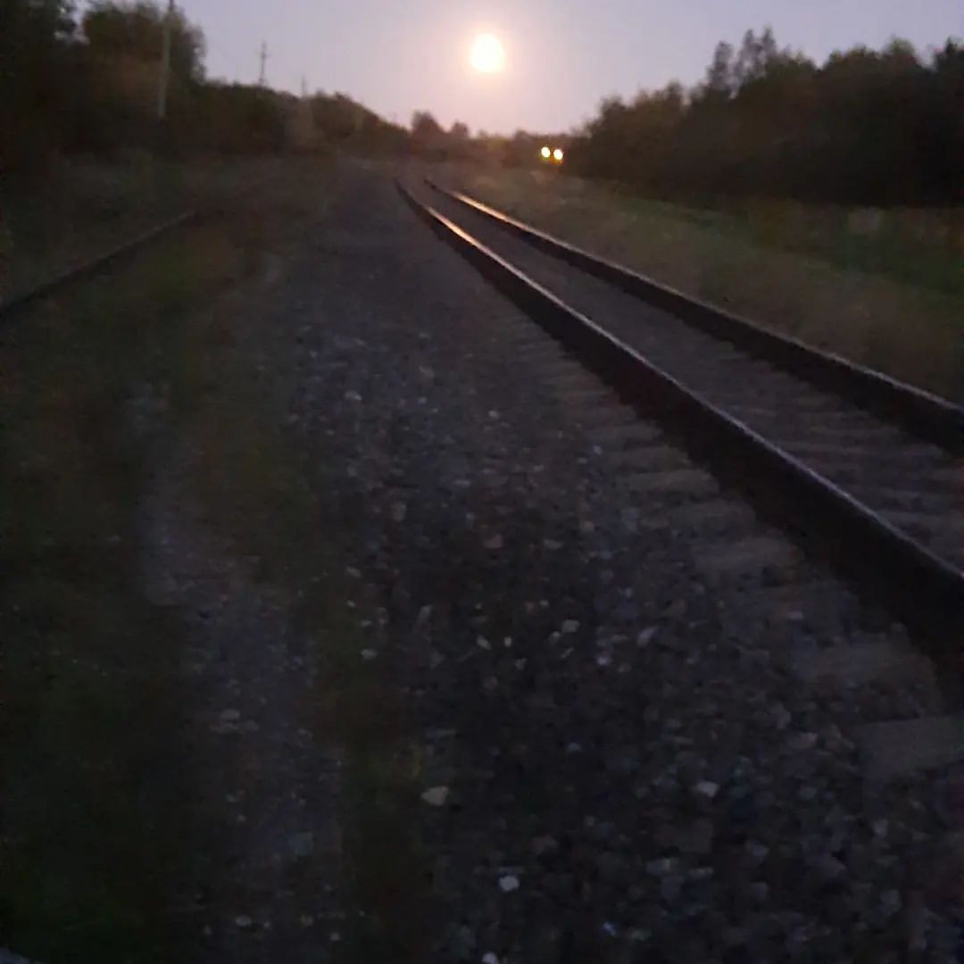 aleks__korolev в LOOKY — публикация
