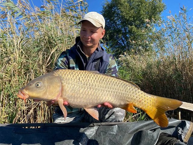yug_fishing в LOOKY. . Рыбалка на карпа, во...