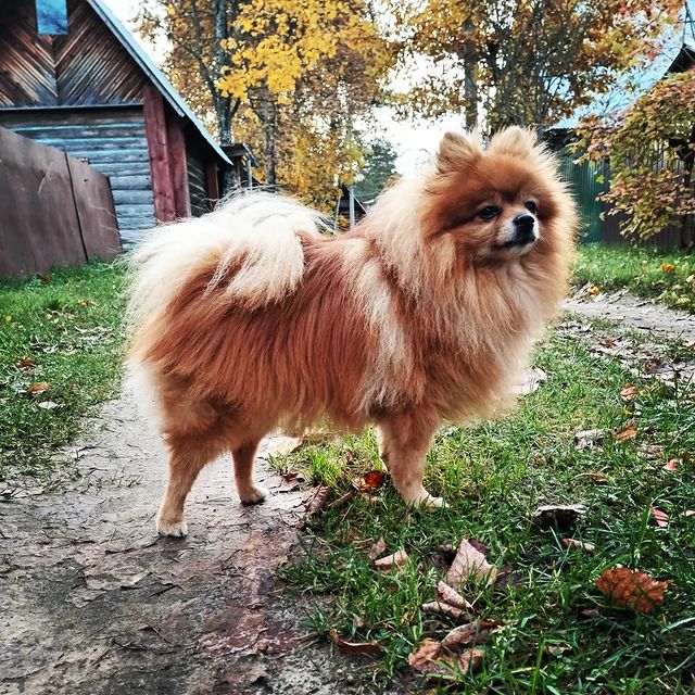 ksenia_agafonova1992 в LOOKY. . Деми Мур