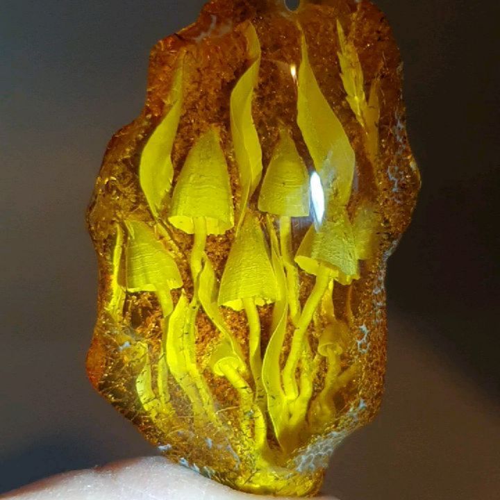 olivan4ik в LOOKY. . Янтарь с грибами🍄💛...