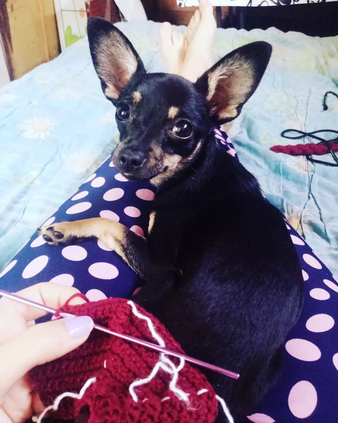Спокойный выходной💕