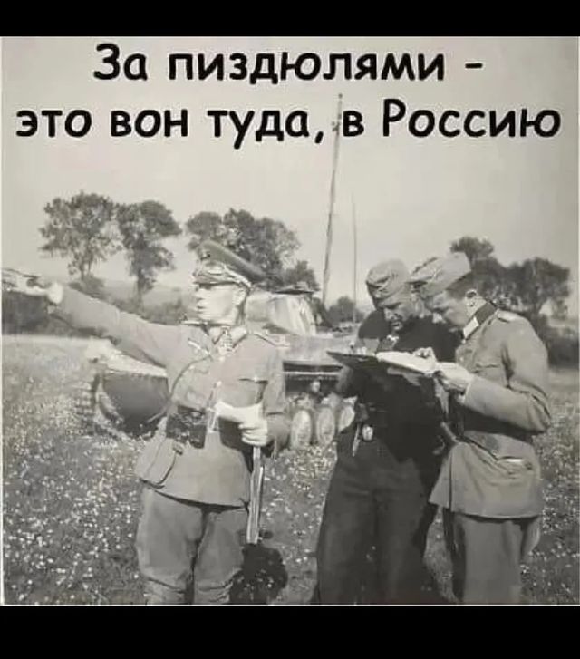komarovandrei74 в LOOKY. . null