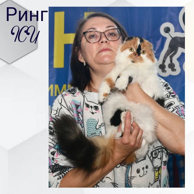 anni_solas в LOOKY. . Судейство на столе у...