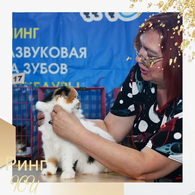 anni_solas в LOOKY. . Эти глаза напротив.....