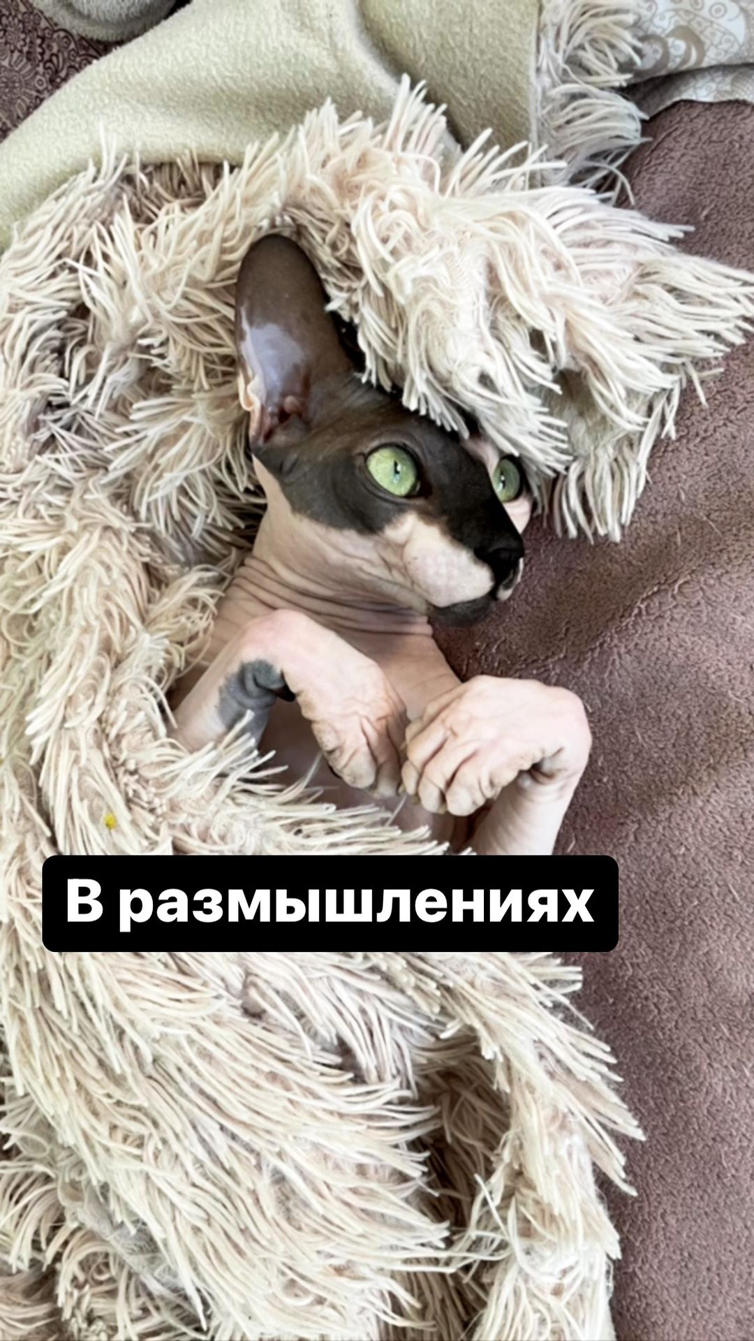 asyaflorens в LOOKY. . null