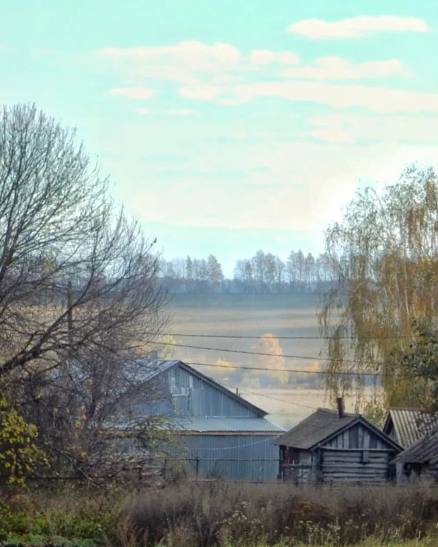 dimalife75 в LOOKY — фото 9