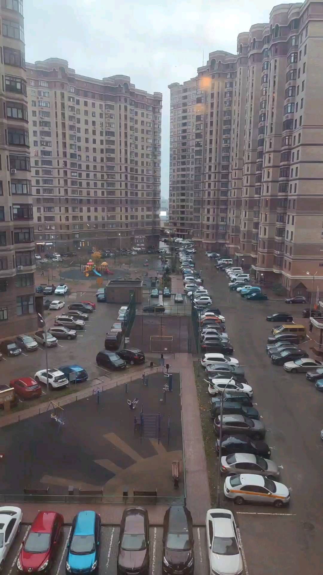 dillirasol в LOOKY. . null