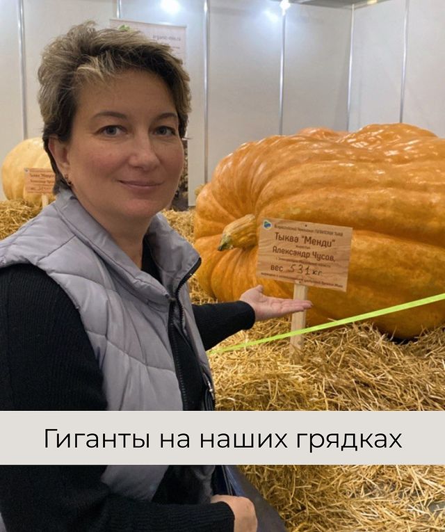 sad_da_vinchi в LOOKY. . Гиганты на наших гря...