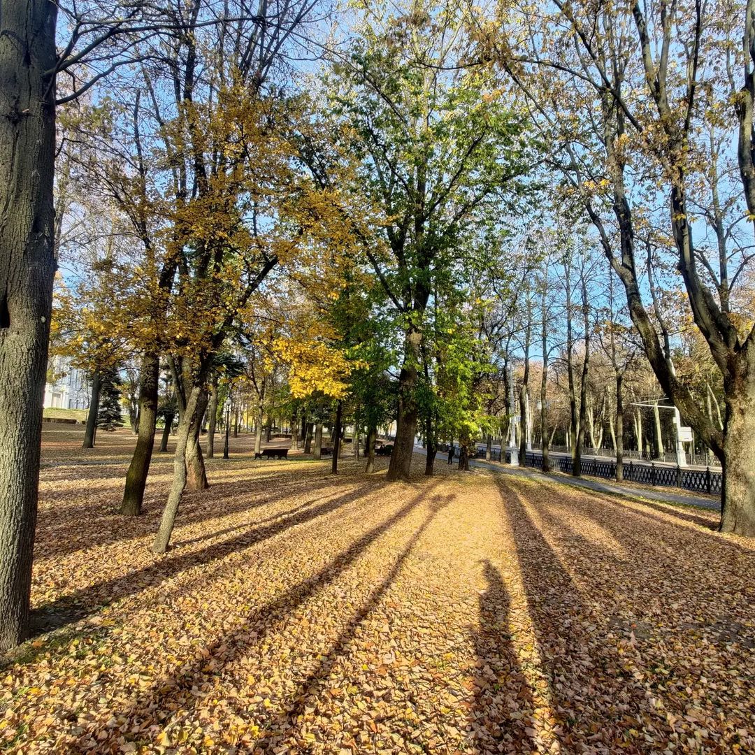 Золотая осень в Минске 😍