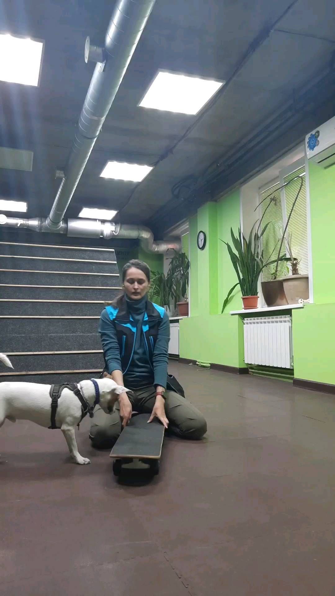 kinolog_nsk в LOOKY. . Продолжаю изучать и ...