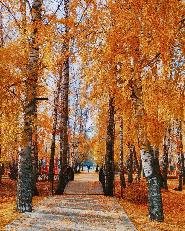 varvara_berry в LOOKY. . 🍁🍂🍁
