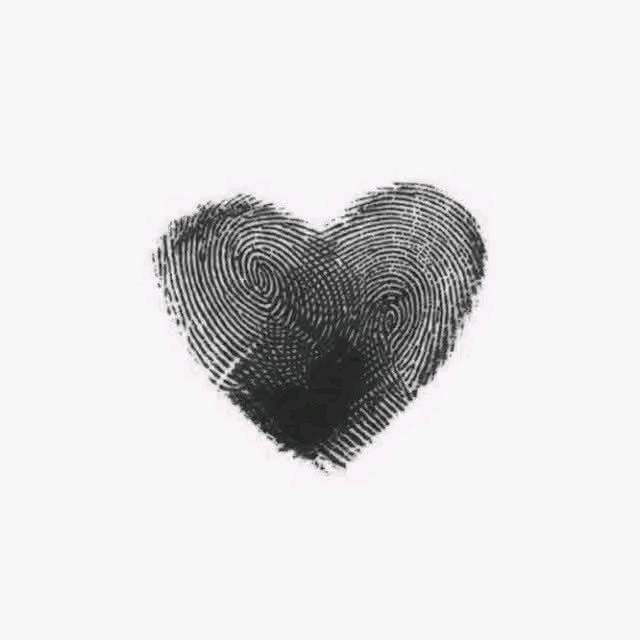 m_livend в LOOKY. . null