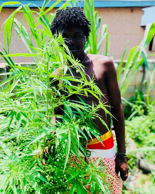 sammyvybz74 в LOOKY. . Weed Sweet Like Melo...